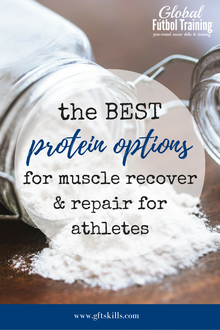 The BEST protein optiosn for muscle recovery + repair