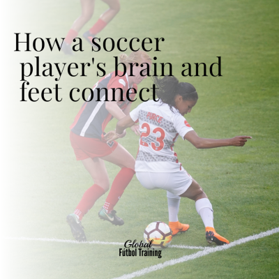 How a soccer player’s brain & feet connect